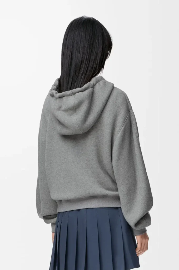 Flamenco-hoodie i bomull och kashmir Grå Flamenco-hoodie i bomull och kashmir Grå