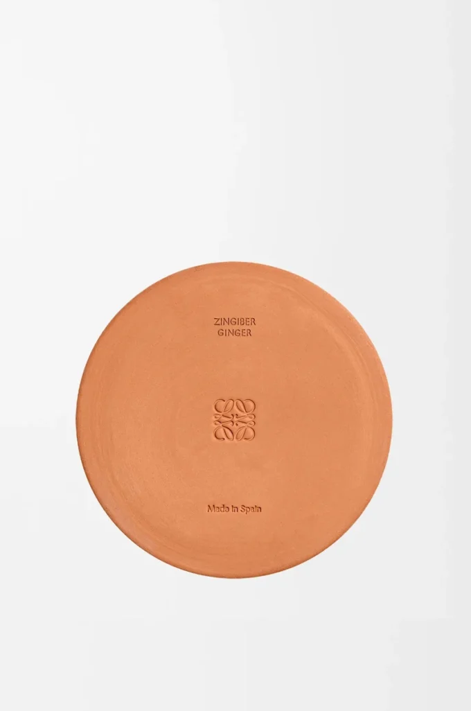 Ginger utomhusljus Orange