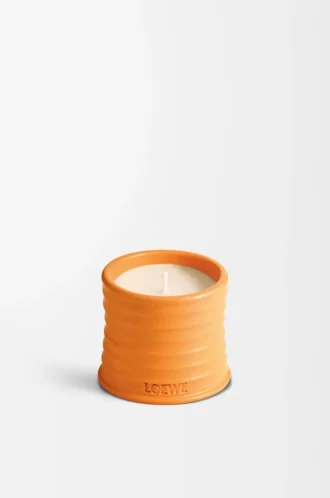 Litet doftljus med apelsinblomsterdoft Ljus mandarin