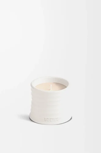 Litet Oregano-ljus Vitt