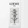 LOEWE 001 Man Eau de Toilette 50 ml Färglös LOEWE 001 Man Eau de Toilette 50 ml Färglös