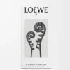 LOEWE 7 Eau de Toilette 50 ml Färglös LOEWE 7 Eau de Toilette 50 ml Färglös