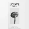 LOEWE Earth Eau de Parfum 50 ml Lila