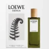 LOEWE Esencia Eau de Parfum 50 ml Färglös LOEWE Esencia Eau de Parfum 50 ml Färglös
