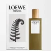 LOEWE Esencia EDT 50 ml Färglös LOEWE Esencia EDT 50 ml Färglös