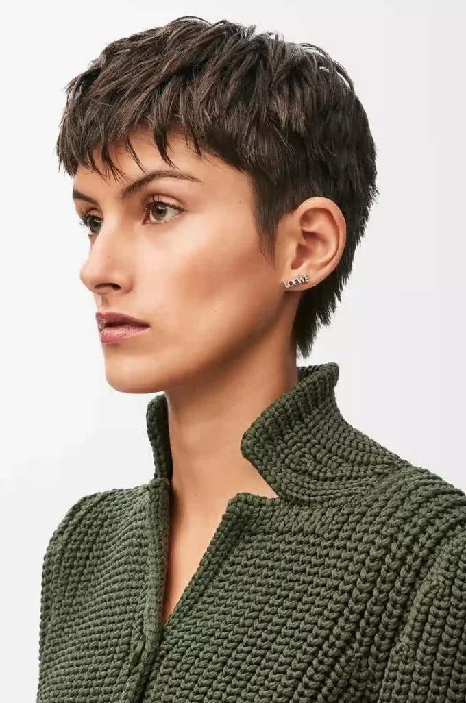 LOEWE Grafisk enkelörhänge i sterlingsilver Silver