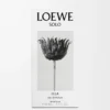LOEWE Solo Ella Eau de Parfum 50 ml Färglös LOEWE Solo Ella Eau de Parfum 50 ml Färglös