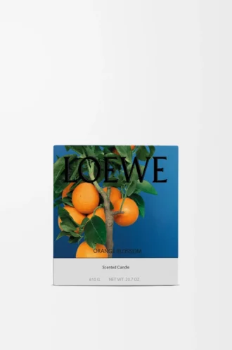 Medium Orange Blossom-ljus Bright Mandarin