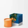 Medium Orange Blossom-ljus Bright Mandarin Medium Orange Blossom-ljus Bright Mandarin
