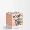 Medium Oregano-ljus Vitt Medium Oregano-ljus Vitt