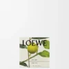Midi Earl Grey doftljus Guld Midi Earl Grey doftljus Guld
