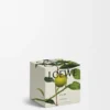 Midi Earl Grey doftljus Guld Midi Earl Grey doftljus Guld
