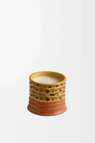 Mimosa doftljus Gult/beige