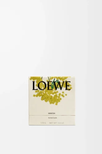 Mimosa doftljus Gult/beige