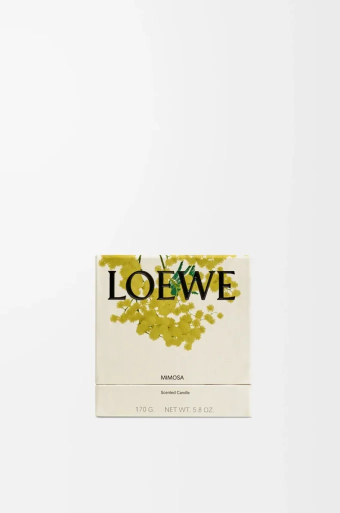 Mimosa doftljus Gult/beige Mimosa doftljus Gult/beige