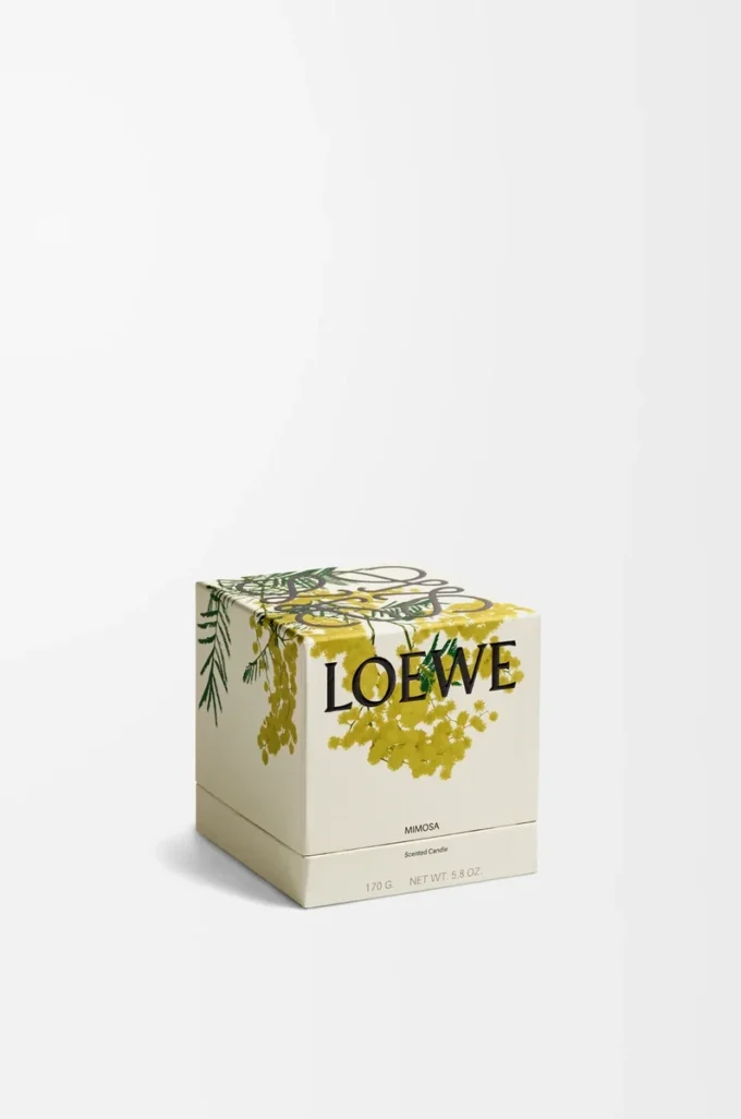 Mimosa doftljus Gult/beige Mimosa doftljus Gult/beige