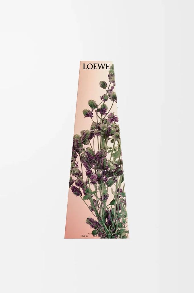 Oregano-ljusstake Vit