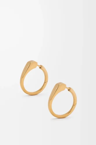 Stirrup-örhängen i sterlingsilver Guld