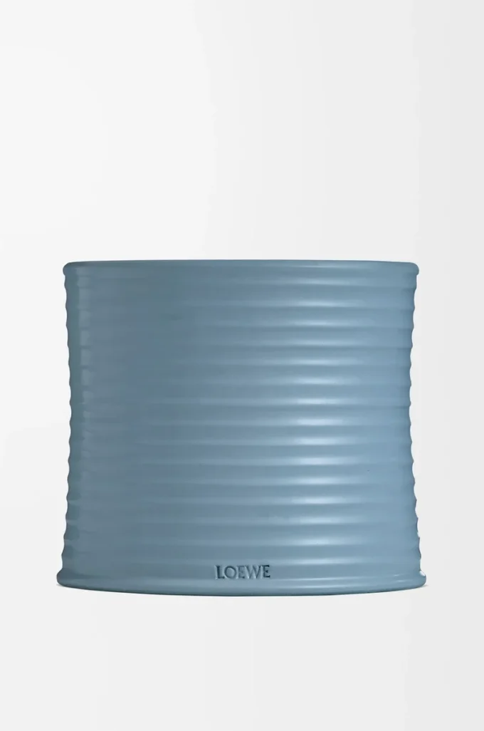 Stort Cypress Balls-ljus Baby Blue Stort Cypress Balls-ljus Baby Blue