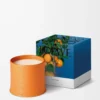 Stort doftljus med apelsinblomsterdoft Ljus mandarin