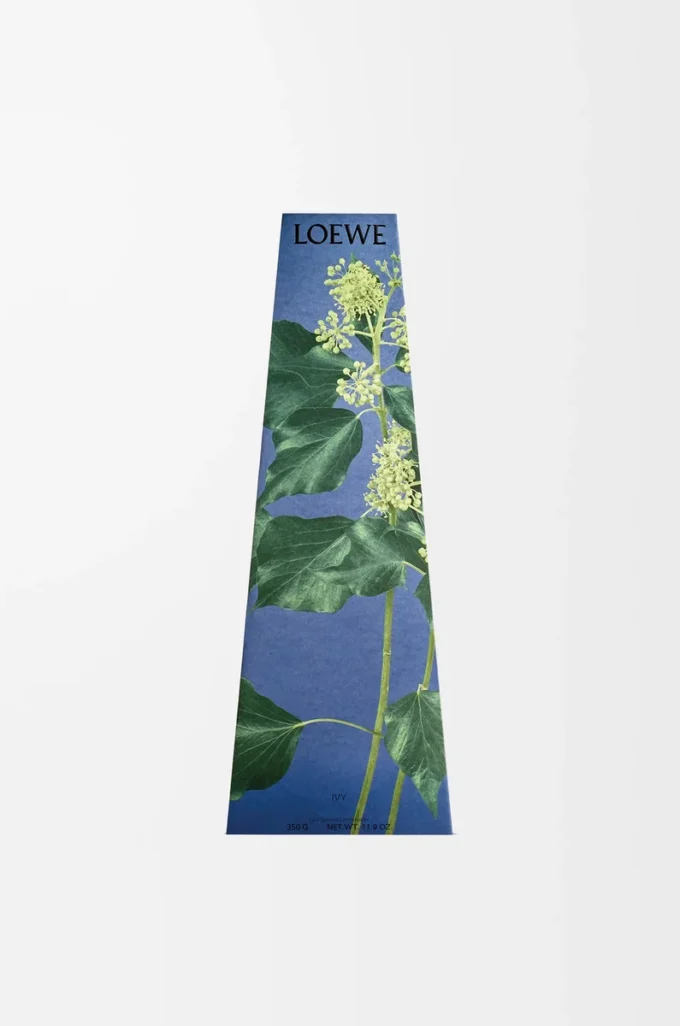 Vaxljusstake med murgröna, ljusrosa Vaxljusstake med murgröna, ljusrosa